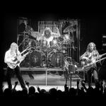 artist image Rush Tom Sawyer Different Stages • Live