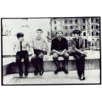 artist image Joy Division Shadowplay Unknown Pleasures (Collector's Edition)
