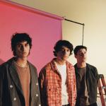 artist image Wallows Pleaser Pleaser - Single