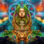 artist image Zymosis Make A Wish Insight