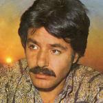 artist image Ferdi Tayfur Sen Gittin İnceden