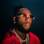 artist image Burna Boy On the Low African Giant