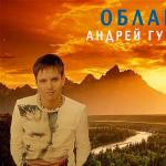 artist image Андрей Губин Ночь The Best