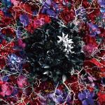 artist image MYTH & ROID shadowgraph MUSEUM-THE BEST OF MYTH & ROID-