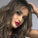 artist image Garik & Astxik Safaryan Nor tarva handes The Music Has Found Me