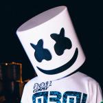 artist image Marshmello, Demi Lovato OK Not To Be OK Dancing With The Devil…The Art of Starting Over (Expanded Edition)
