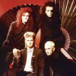 artist image Dead Or Alive Lover Come Back (To Me) Youthquake