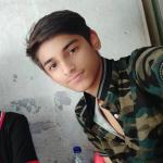 artist image DHARIA Sugar and Brownies (slow bass) 