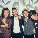 artist image One Direction Live While We're Young Take Me Home