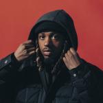 artist image Metro Boomin & James Blake Hummingbird METRO BOOMIN PRESENTS SPIDER-MAN: ACROSS THE SPIDER-VERSE (SOUNDTRACK FROM AND INSPIRED BY THE MOTION PICTURE)