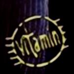 artist image Grup Vitamin Ismail Best Of Vitamin