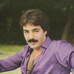 artist image Ferdi Tayfur Emmioğlu Prangalar