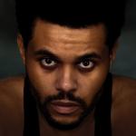 artist image The Weeknd x Playboi Carti Timeless (XPRD Remix) 