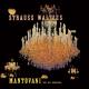 Johann Strauss II - Tales from the Vienna Woods