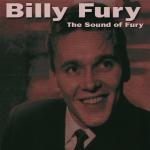 album image Wondrous place The Sound of Fury