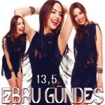 album image Sonuna Kadar 13,5