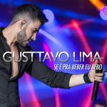album image Se É Pra Beber, Eu Bebo Se É Pra Beber, Eu Bebo - Single
