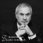 album image Белые птицы Белые птицы - Single