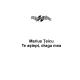 Marius Teicu - Iti promit
