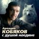 KA4KA.RU - Аркадий Кобяков 2011 - ах если бы знать (new) ИК 9