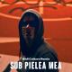 Carla s Drems-Sub Pielea Mea ( dj maestro mahala mix) - Carla s Drems-Sub Pielea Mea ( dj maestro mahala mix)