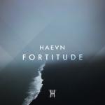 album image Fortitude Fortitude - Single