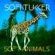 SOFI TUKKER feat. Betta Lemme - Awoo