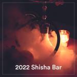 album image Palmen aus Plastik 2022 Shisha Bar