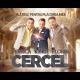 Petrica Cercel - Platesc pentru placerea mea