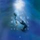 David Bisbal - Fue Nuestro Amor