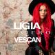 Ligia - Fraiero (ft. Vescan)