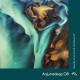 Cubicolor - Fictionalise (Anjunadeep 08 Mix)
