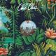 Poolside, Fatnotronic - Esperar Pra Ver
