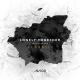 Avicii feat. Rita Ora - Lonely Together