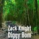 Jasmin Walia & Zack Knight - Dum Dee Dee Dum