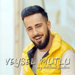 album image Vay Delikanlı Gönlüm Vay Delikanlı Gönlüm - Single