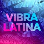 album image Suave (Remix) Vibra Latina