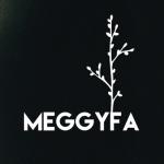 album image Meggyfa Meggyfa - Single