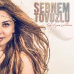 album image Sevdiyim Adamdi 2017 Sevdiyim Adamdır - Single