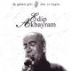 Edip Akbayram - Aldırma Gönül