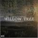 Rival x Cadmium feat. Rosendale - Willow Tree