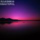 Nasheeds - The Strangers