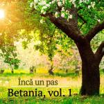 album image Ai obosit