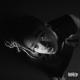Little Simz - Venom (CRN remix)