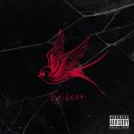 album image Never Go Back (VK Music 007) Exident - EP