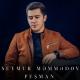 Seymur Memmedov - Sevdiyim Insan