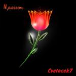 album image 𒄗𒂀 𝐄𝐌𝐈𝐋 🂱 𖣘 Молодость