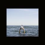 album image Cynically Sweet The Last Bastion of Fox Quality