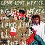 album image Snake slow Long Live Mexico