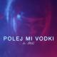 Dr. SWAG - Polej mi vodki